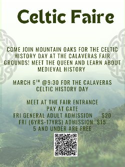 Celtic Faire Flyer